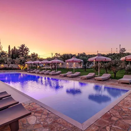 Villa Elaiodendro By